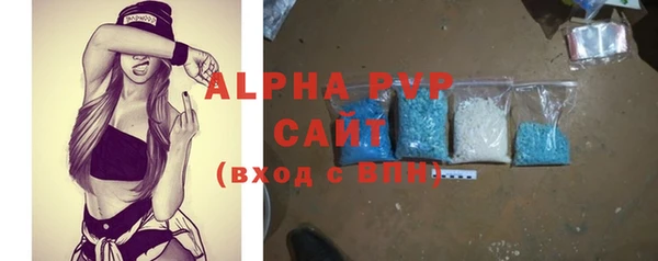 гашик Вяземский