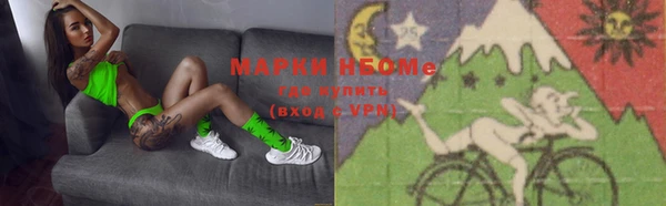 гашик Вяземский
