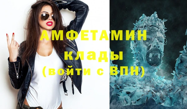 гашик Вяземский