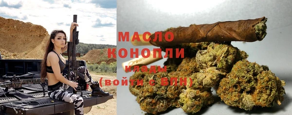 дживик Горняк