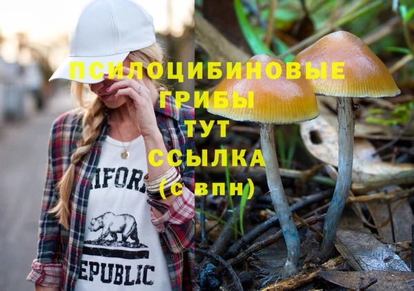 соль ск Верхний Тагил