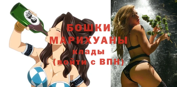 гашик Вяземский