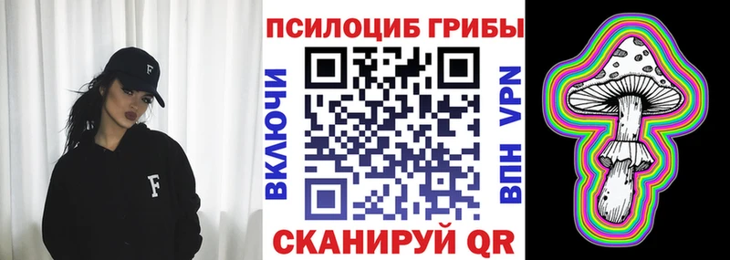 Псилоцибиновые грибы Psilocybine cubensis  Дивногорск 